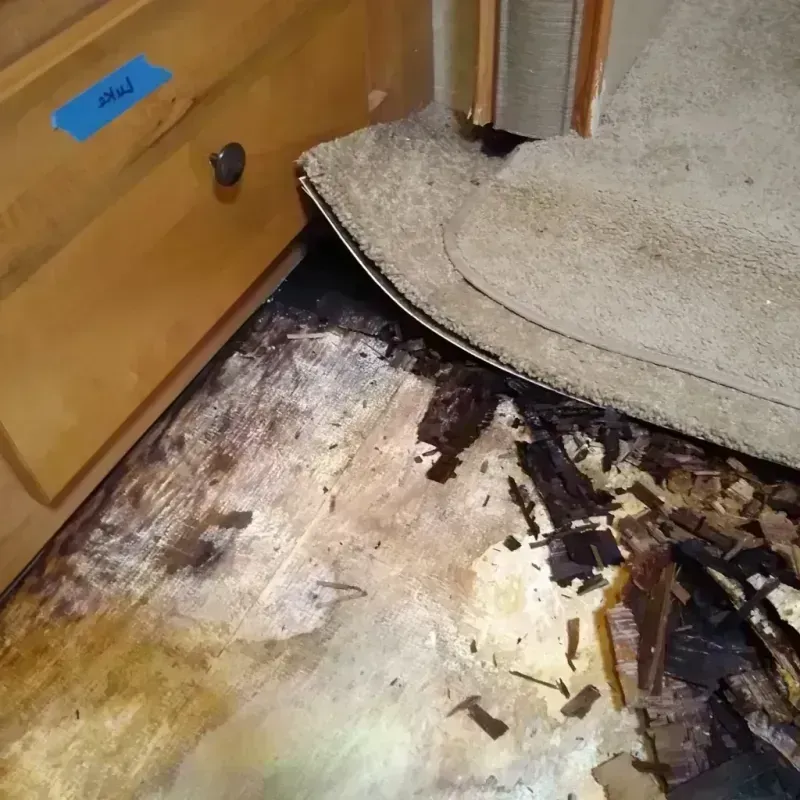 Best Wood Floor Water Damage Service in Roseau County, MN